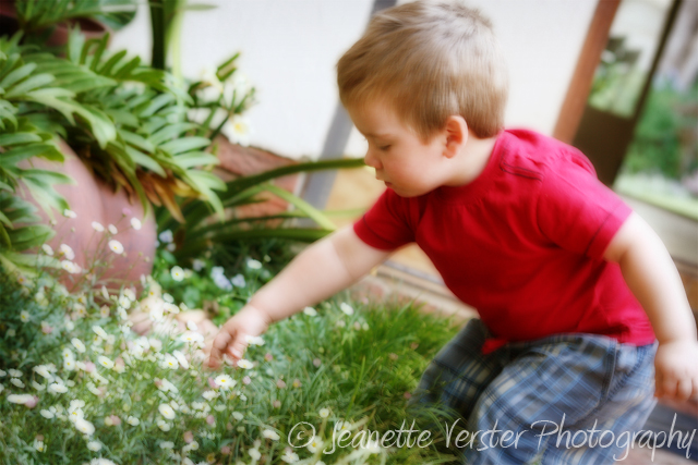 picking-flowers